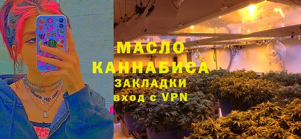 дживик Бронницы