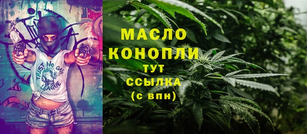 дживик Бронницы