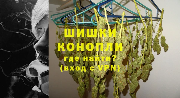 дживик Бронницы