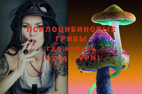 дживик Бронницы