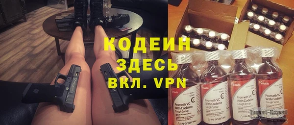 дживик Бронницы