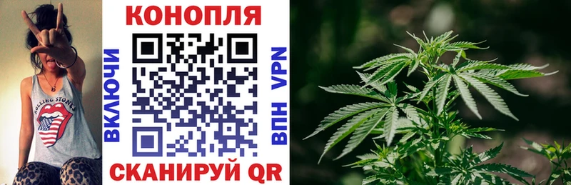 наркота  Балашиха  Каннабис гибрид 